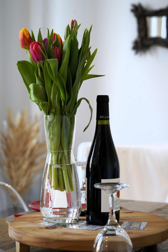 Food & Drinks 5, La magie de Carnot, Aude