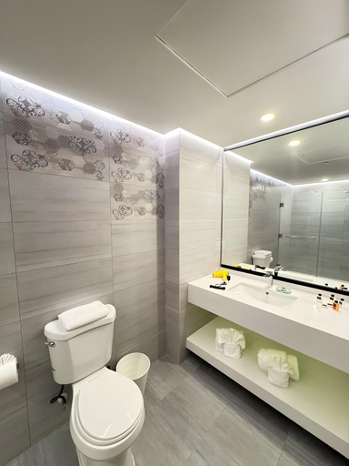 Bathroom 4, GALAXY HOTEL, Pinellas