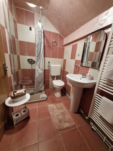 Bathroom 3, Pensiunea Flori, Vata De Jos