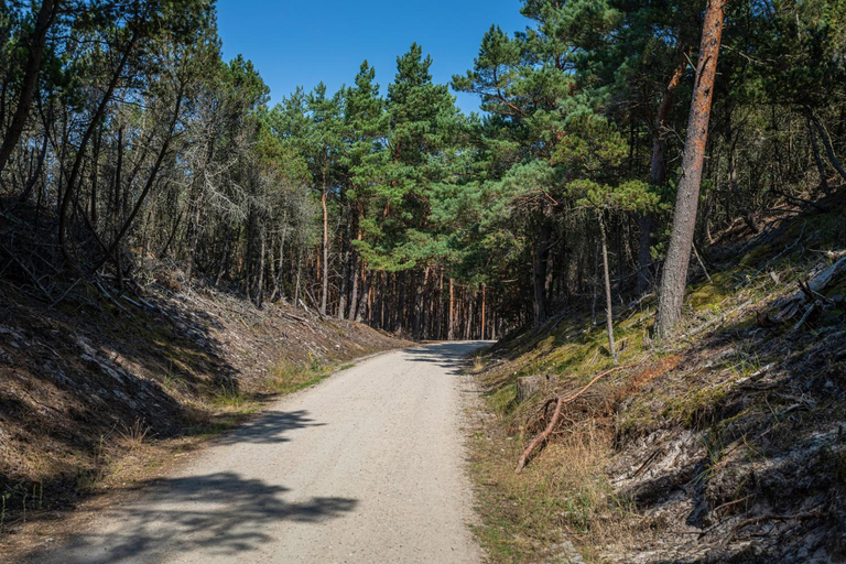 Others 4, Domki Mile z basenem - Lubiatowo, Wejherowo