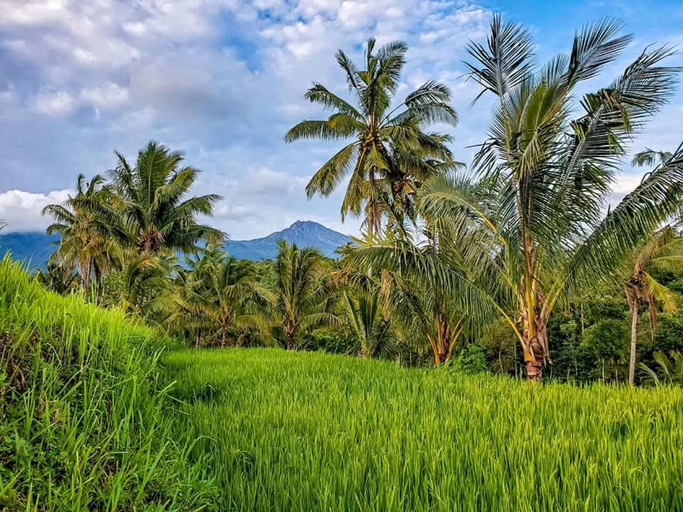 Others 3, Satu Lingkung, Lombok