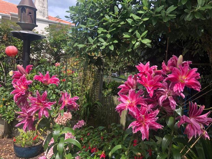 Others 5, Top Floor Bed and Breakfast, Kapiti Coast