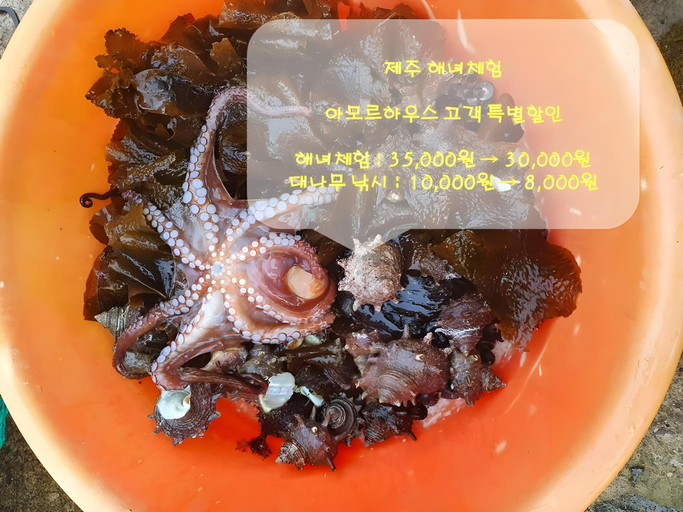 Food & Drinks 4, Jeju Amor House, Jeju