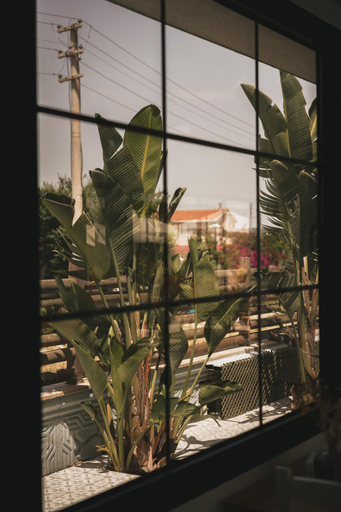Others 5, La Vida otel, Urla