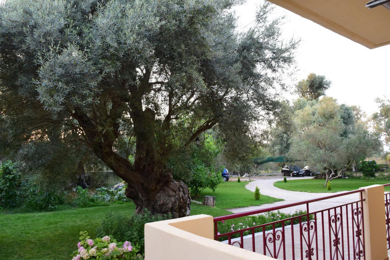 Others 4, To Agridi, Ionian Islands