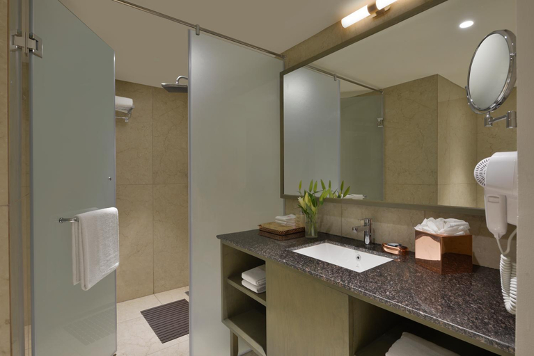 Bathroom 4, Gateway Diu, Diu