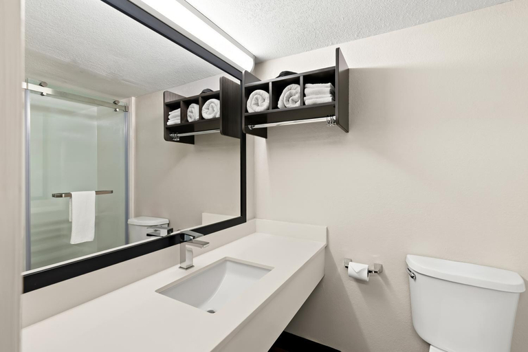 Bathroom, Quality Inn & Suites, Desha