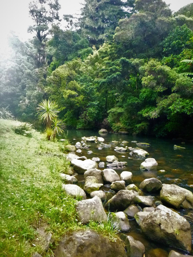 Others 3, Kauri Nest, Whangarei