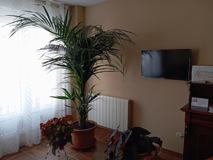 Others 4, Hostal Santiago, Palencia