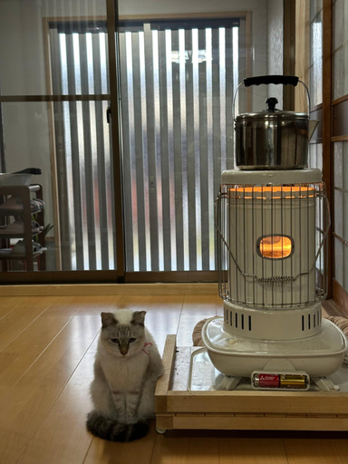 Others 5, 猫と泊まれる宿にゃんstay, Kure