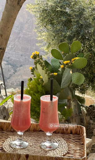 Food & Drinks 5, Dana luxury huts, Bsaira