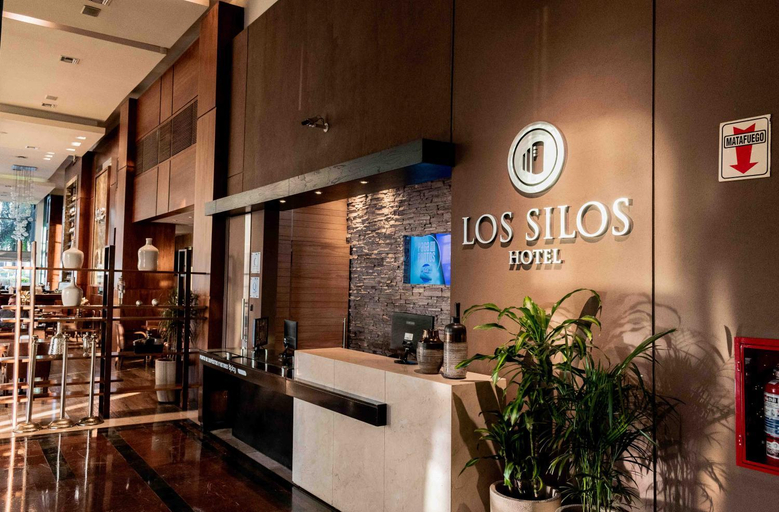 Public Area, Los Silos Hotel, La Capital
