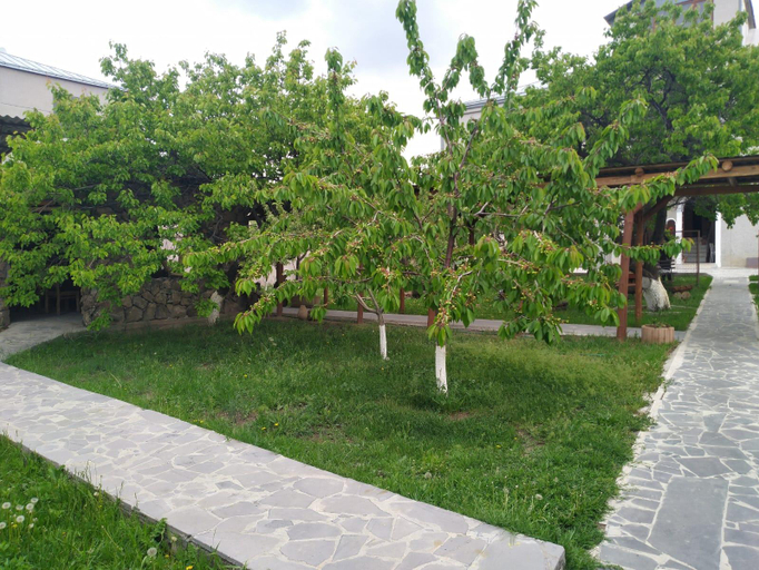 Others 5, Alpina Hotel Yerevan