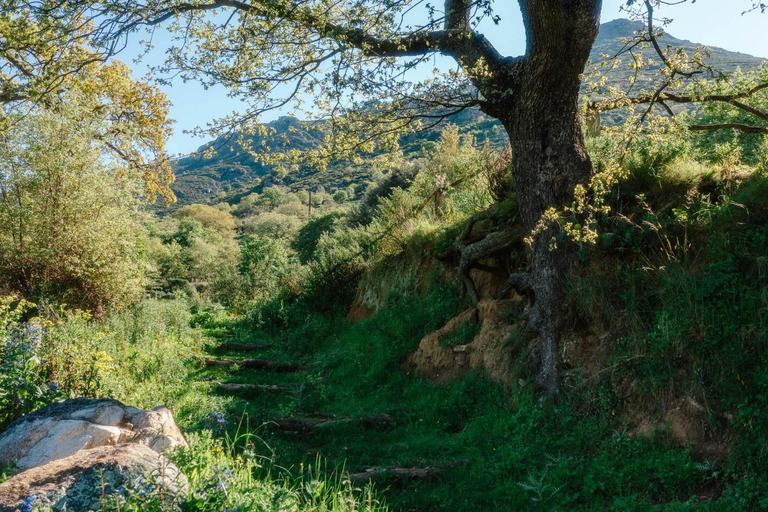 Others 2, Domaine Acciola, Haute-Corse