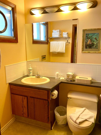 Bathroom 3, Rocky Mountain Springs Lodge, East Kootenay