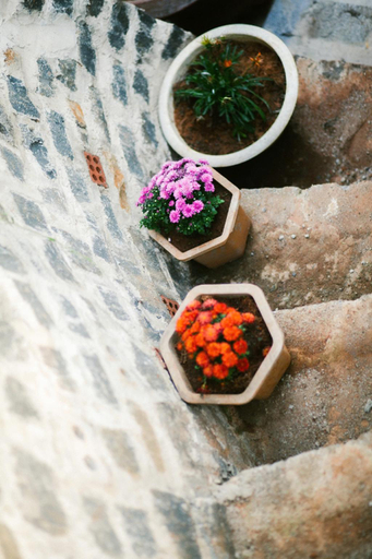 Food & Drinks 4, Homestay Hồng Phúc, Bảo Lộc