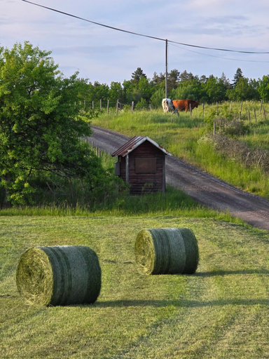 Others 5, Aangens Bed o Breakfast, Söderköping