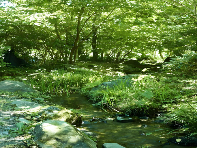 Surrounding environment 2, Ryokan Asono Yamaboushi, Aso