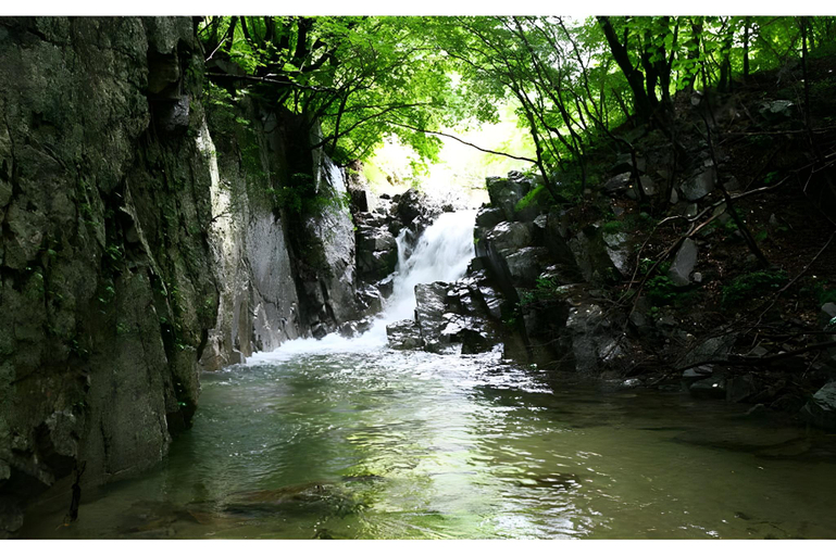Others 1, Laon Pension, Pocheon