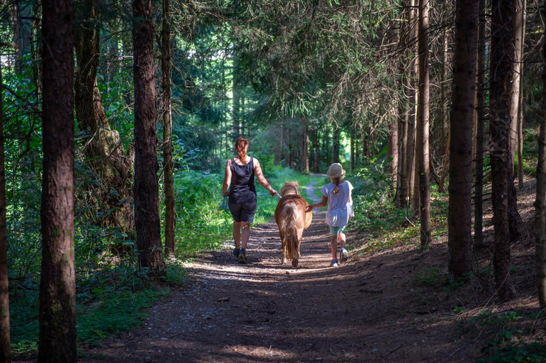 Horseback riding 5, Ranstl Ferienwohnungen, Sankt Johann im Pongau