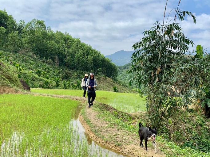 Others 3, Dak Drinh Lodge, Sơn Tây
