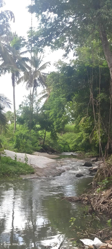 Others 4, Manvith's Heritage River Retreat, Mandya
