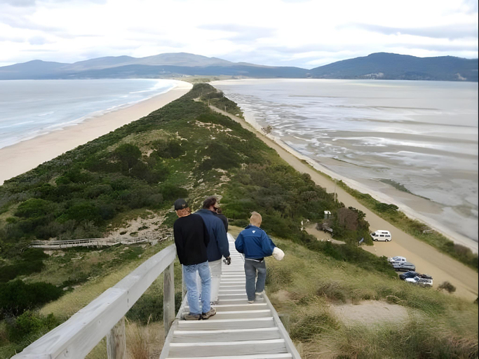 Others 4, The Tree House, Kingborough