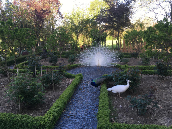 Others 3, Chateau Mathias, Lot-et-Garonne