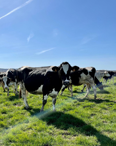 Others 5, Chambre a la ferme, Yonne