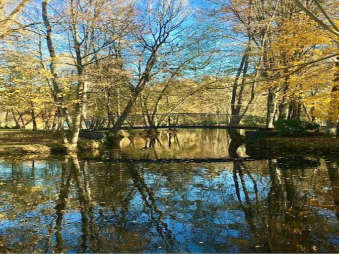 4, Chalet in Oignies with Wooded Surroundings, Namur