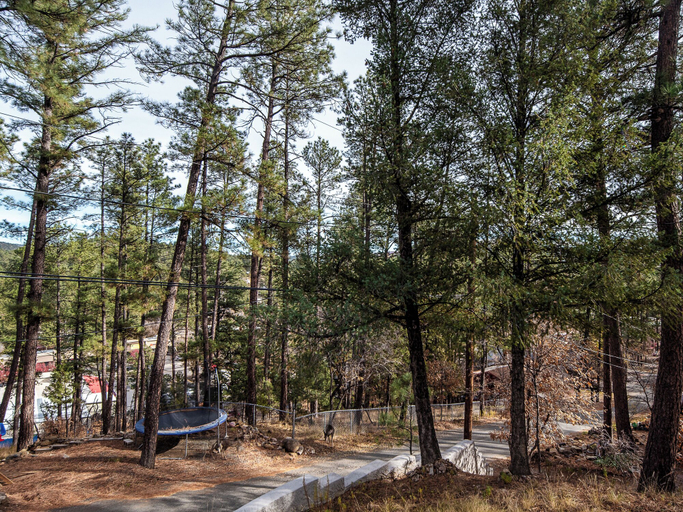 Others 5, Modern Twist by Ruidoso Vacation Rentals, Lincoln