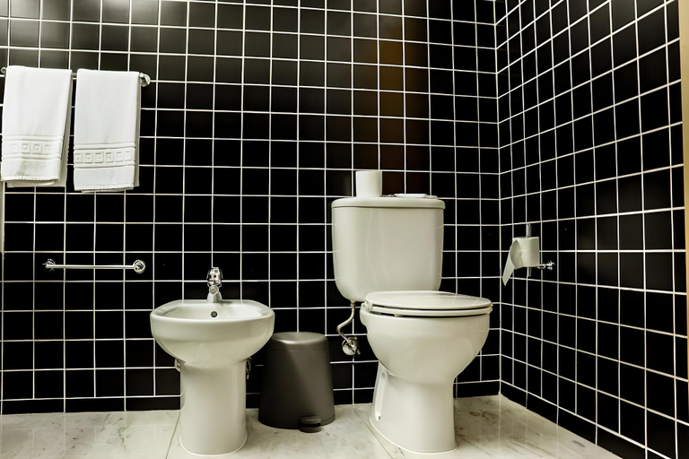Bathroom 5, Monte Prado Hotel & Spa, Melgaço