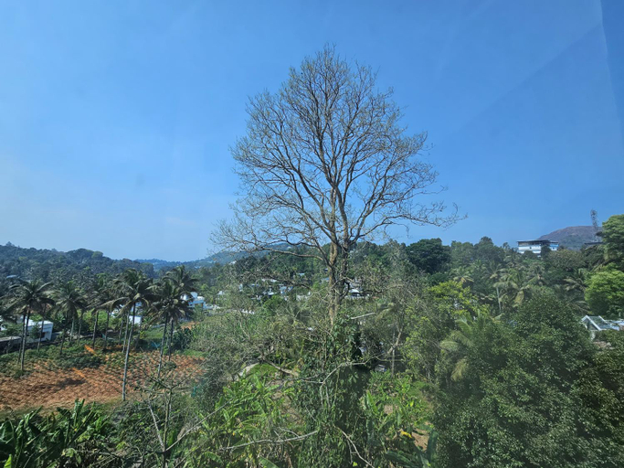 Others 4, mist residency, Idukki