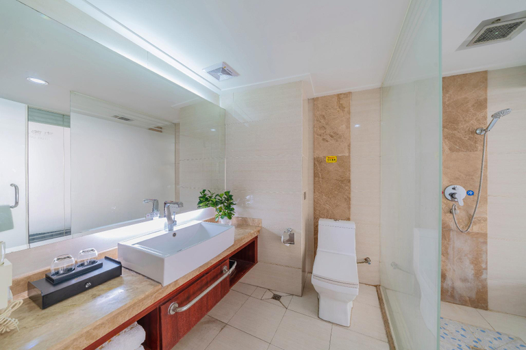 Bathroom 3, Shuanglong Plaza Hotel, Jiangmen