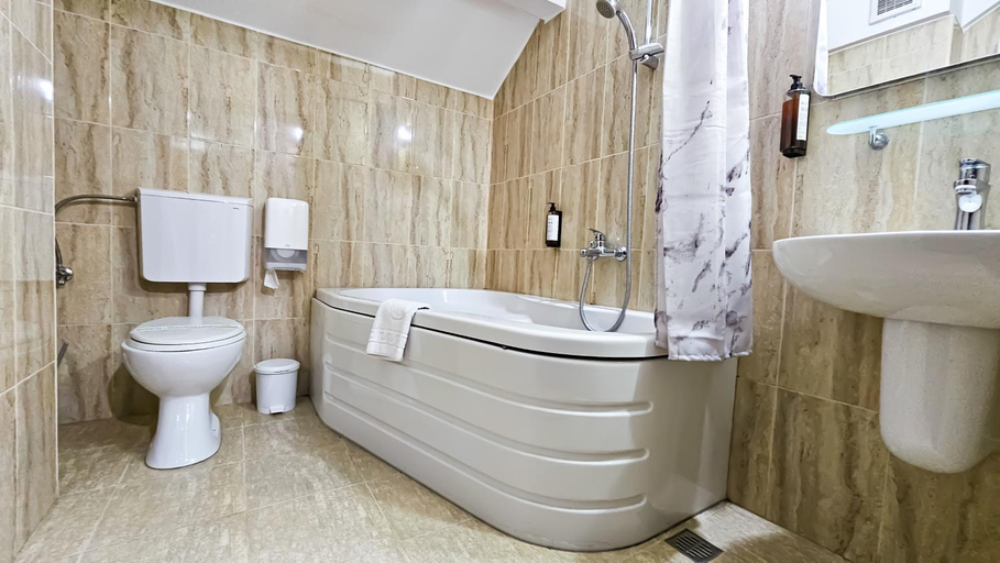Bathroom 5, Pensiunea Bucura, Calimanesti