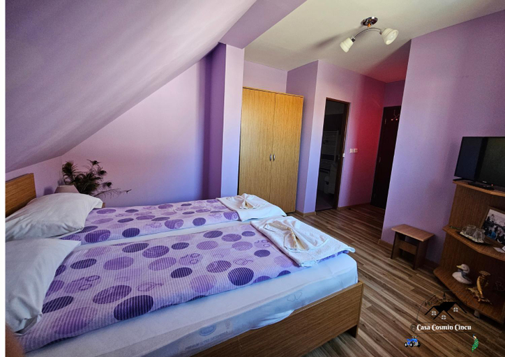 Bedroom 2, Casa Cosmin Cincu, Cincu