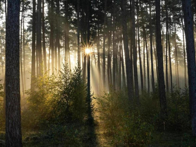 Others 3, Ferienwohnung mit Loggia im Teutoburger Wald, Höxter
