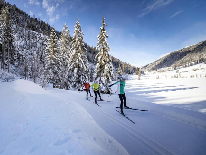 Others 2, Chalet in Turracherhohe with Ski-inSki-out, Murau