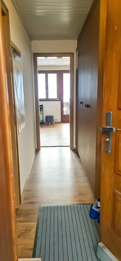 Others 5, Apartment Bussalp - Aare Jungfrau AG, Interlaken