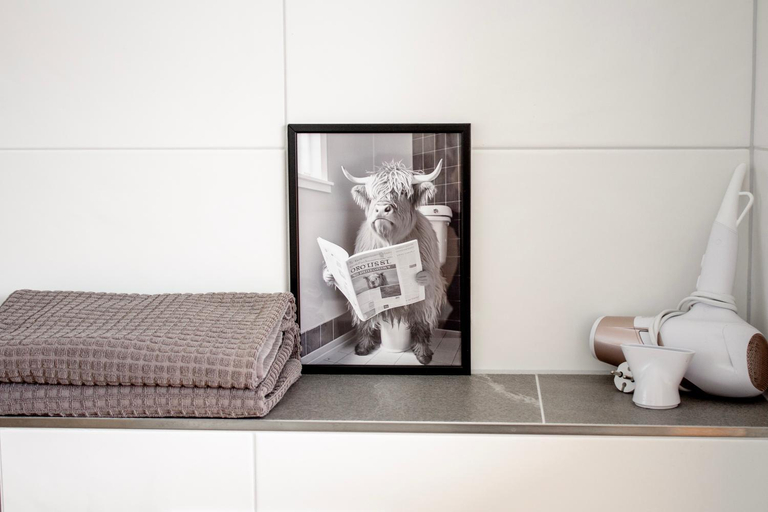 Bathroom, die Hauswirtschaft, Villach Land