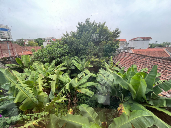 Garden 3, Đuong lam village homestay, Sơn Tây