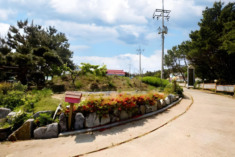 Others 5, Good Morning Pension, Taean