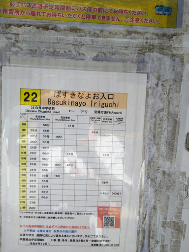 Others 5, Minshuku Zabaru, Ishigaki