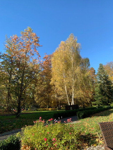 Others 2, Palac Sapetow, Strzelce-Drezdenko