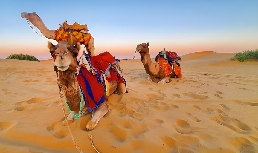 Others 3, Rainbow Desert Safari And Resort, Jaisalmer