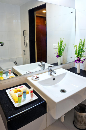 Bathroom 3, Hotel Southern Grand, Krishna