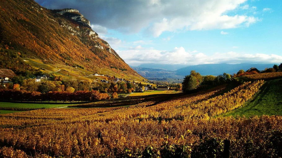 Others 5, Chez sylvie et guy, Savoie