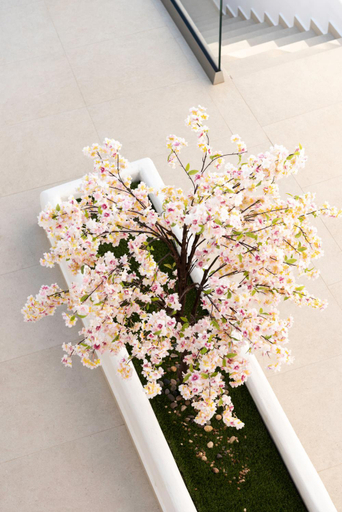 Others 2, Mia Anasa - Luxury Suites, South Aegean