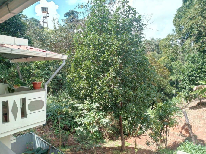 Others 4, Dhruva homestay, Kodagu