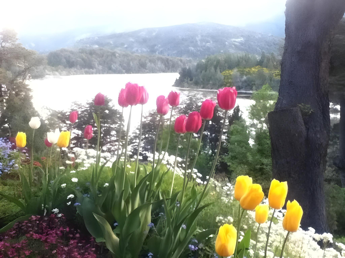 Others 3, Bellevue, Bariloche